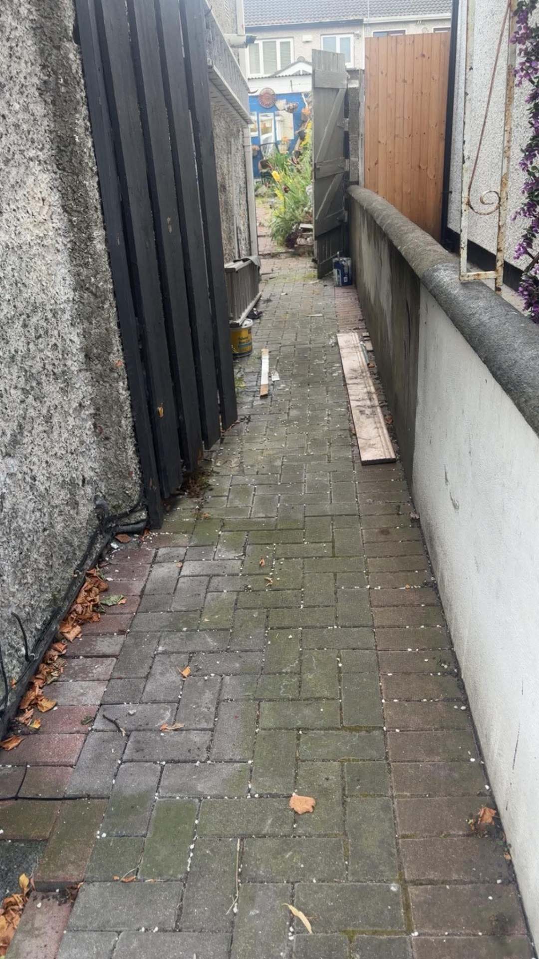 Narrow side passage with moss, leaves and building debris on the paving before cleaning