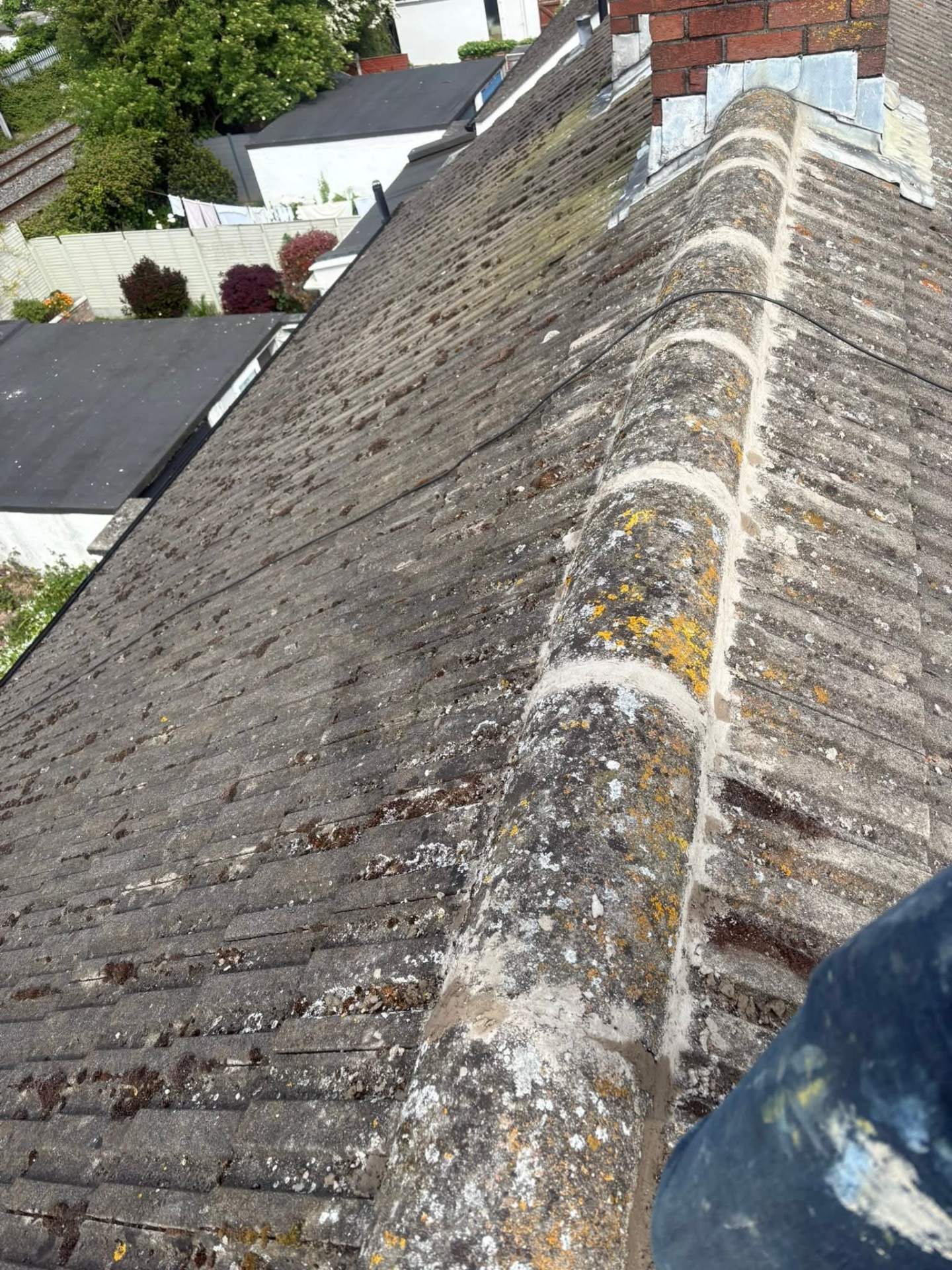 Dublin roof heavily covered in moss and lichen along the full ridge line