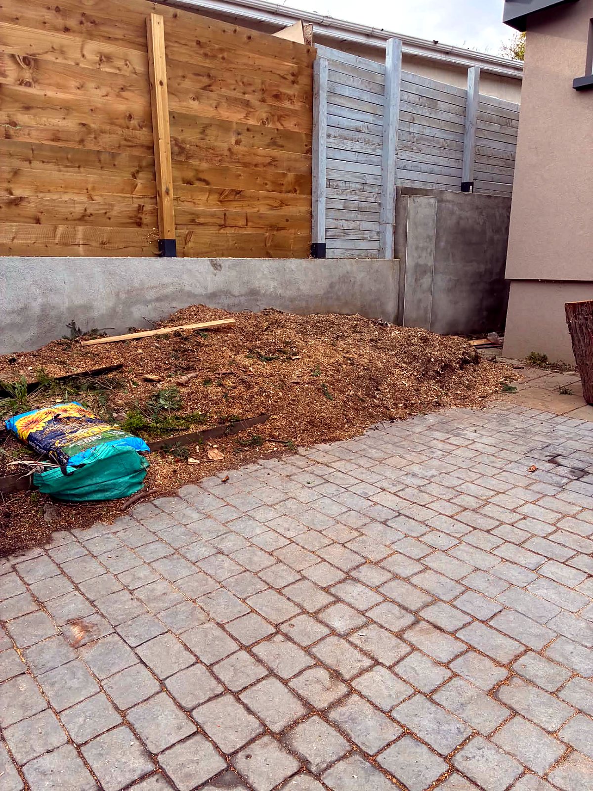 Same corner after the tree was taken down, with only wood chippings left