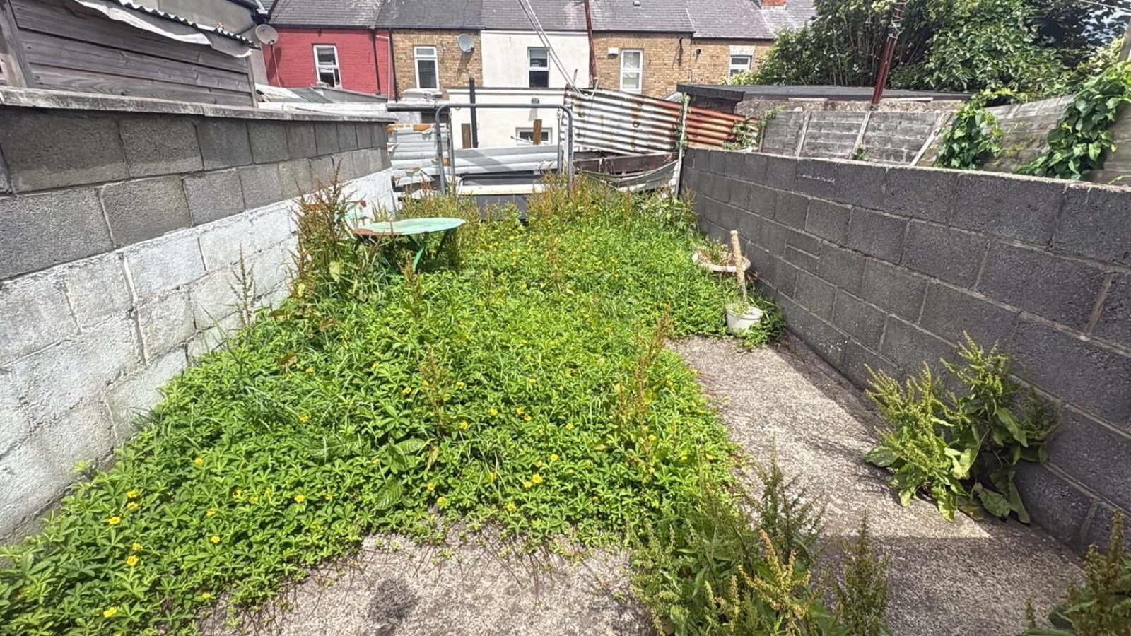 Weeds and overgrowth spilling across a paved side path before clearing