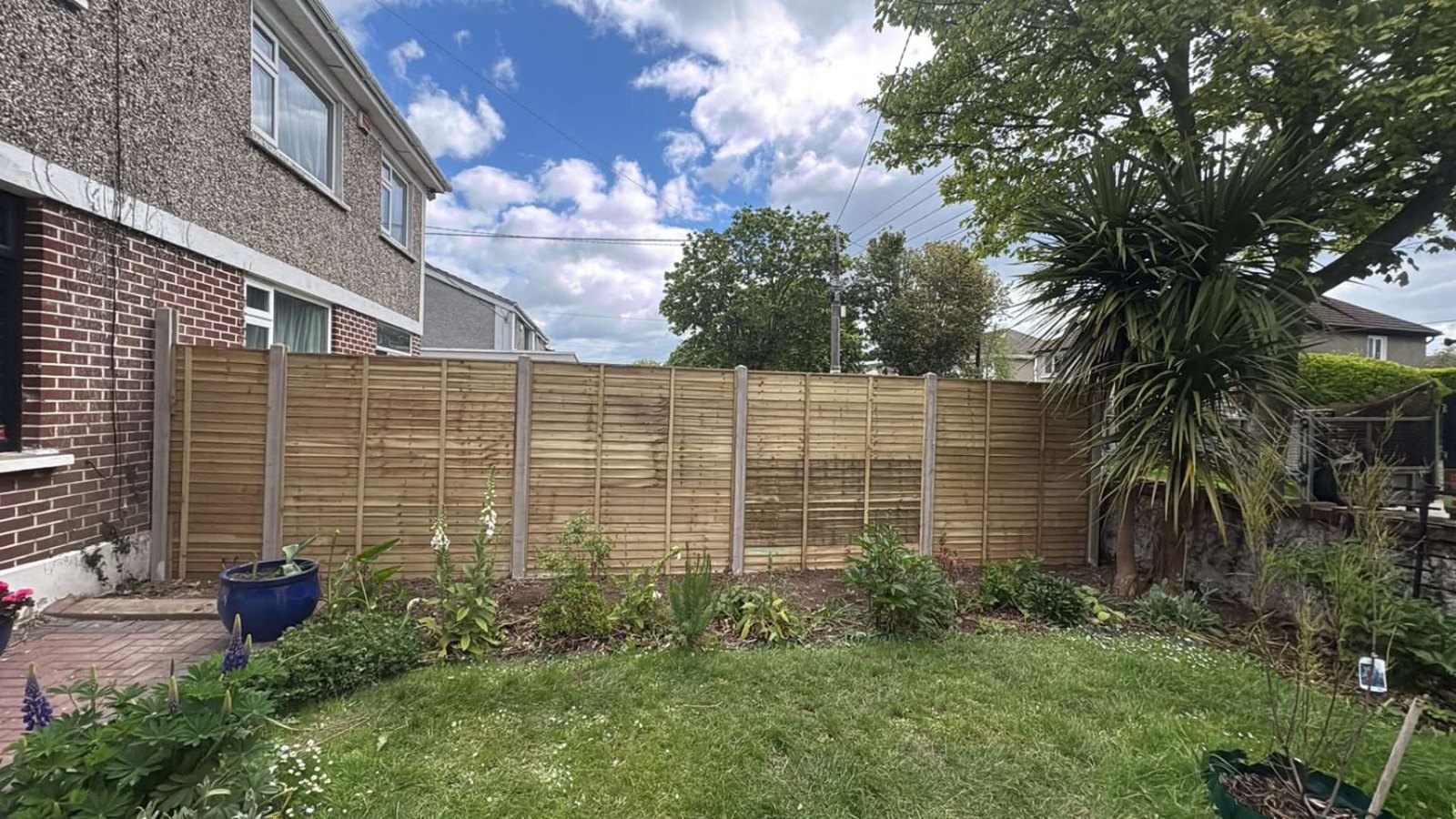 Freshly cut back garden lawn with new fencing in Dublin