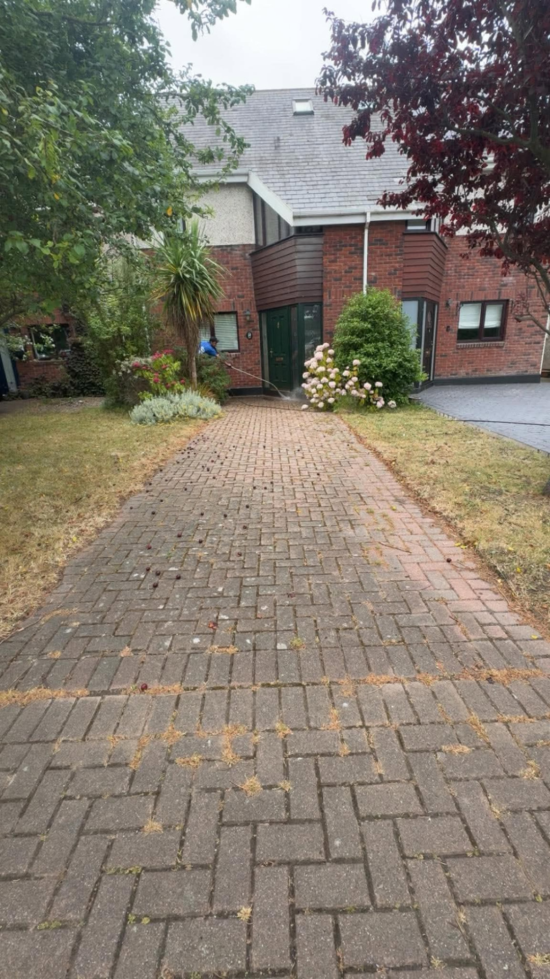 Brick front driveway with weeds growing through the joints before cleaning