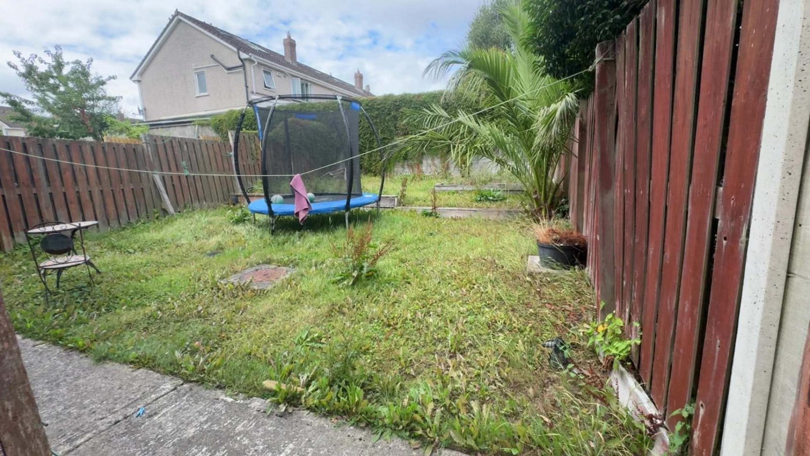 Back garden lawn completely overgrown with knee-high grass and weeds around a trampoline