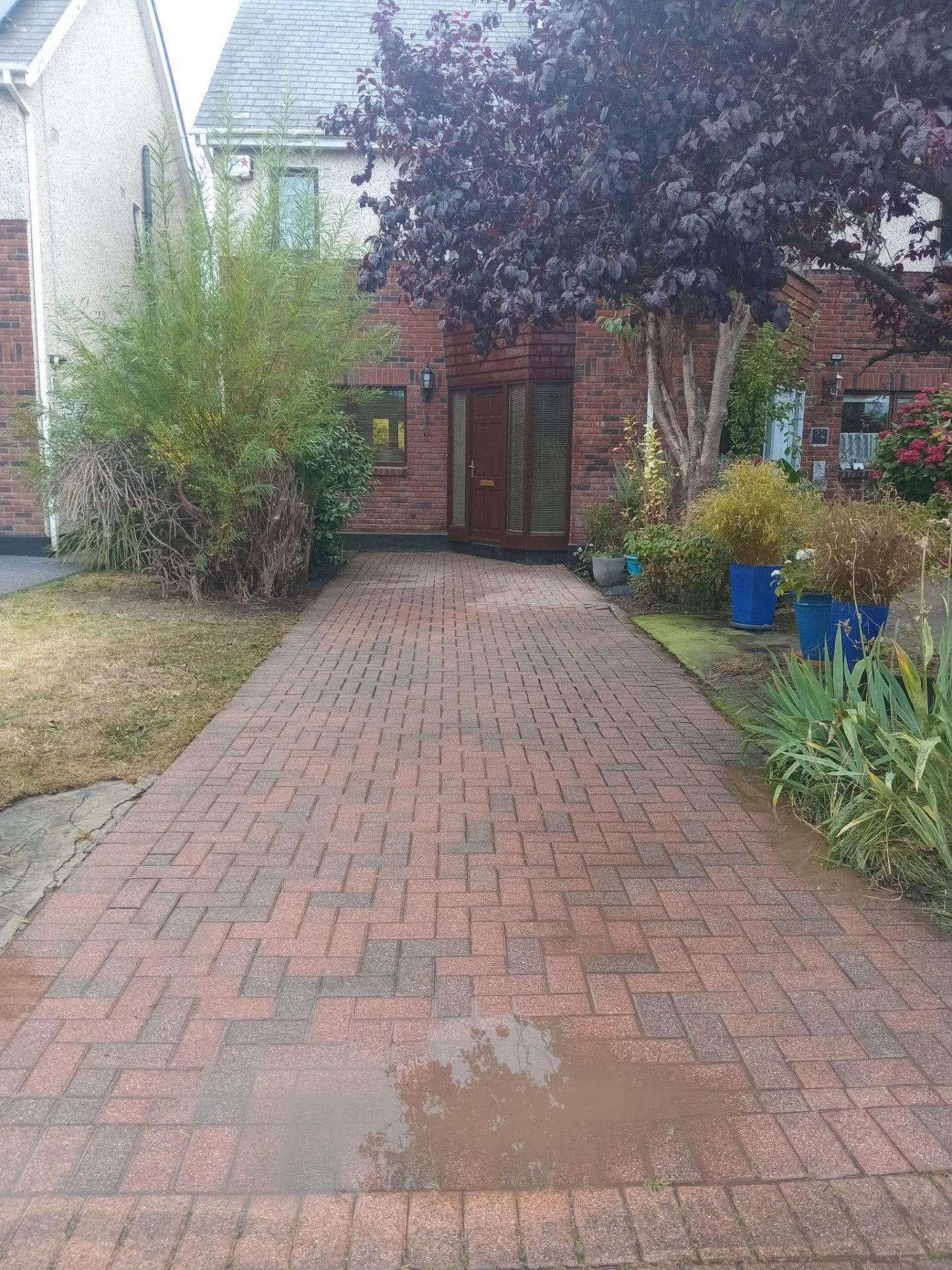 Same brick driveway weeded and power washed clean up to the front door