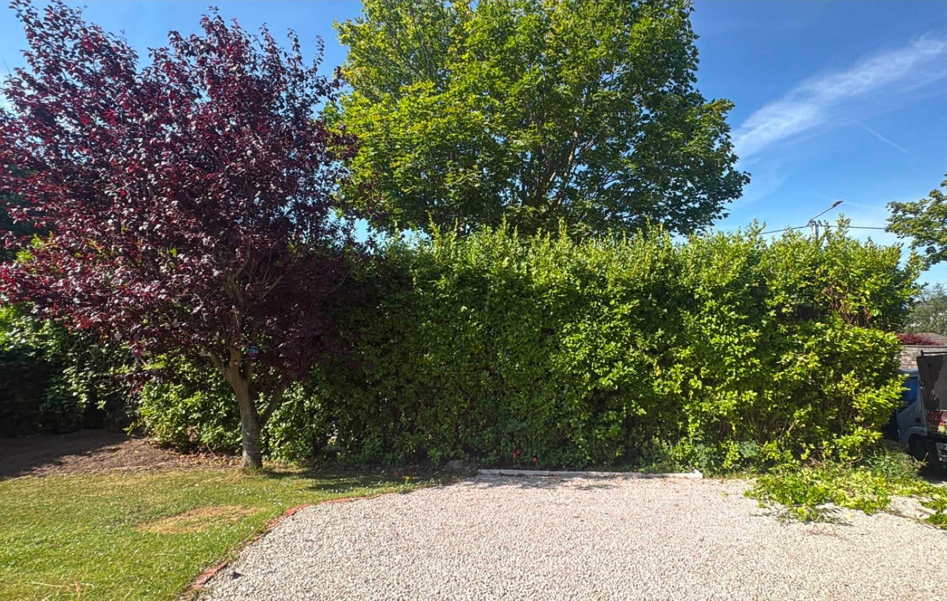 Tall overgrown roadside hedge blocking the front garden before cutting