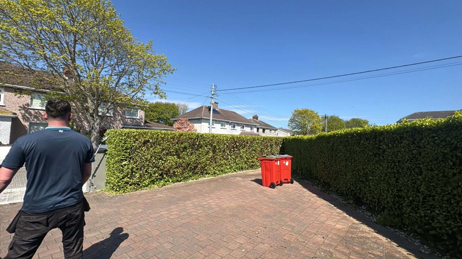 Neatly trimmed front garden hedge after cutting