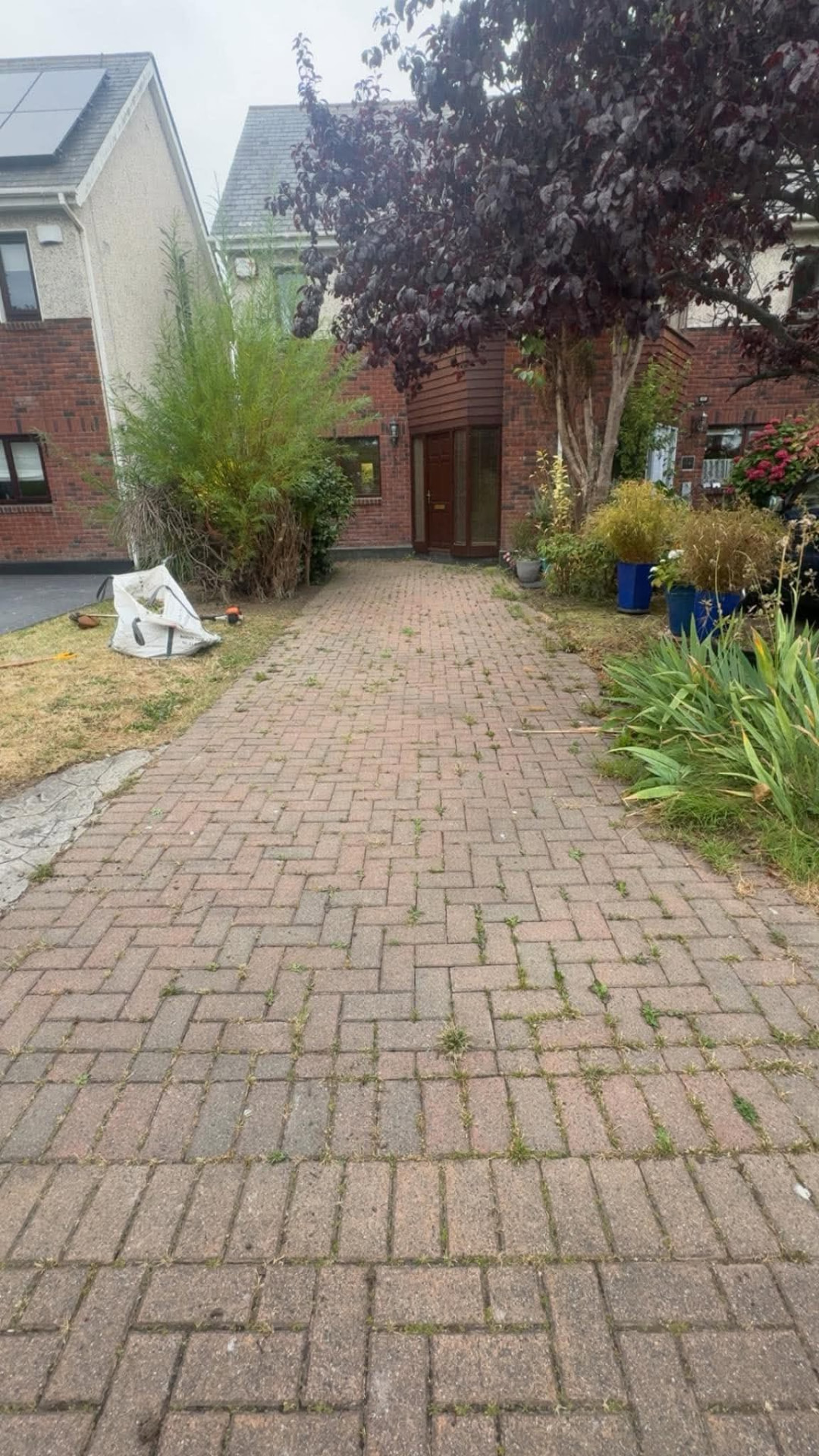 Brick paved driveway with weeds growing through the joints before cleaning