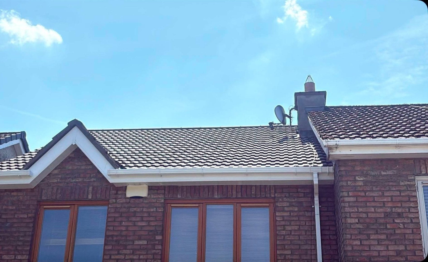 House roof covered in white moss and lichen across every tile before cleaning