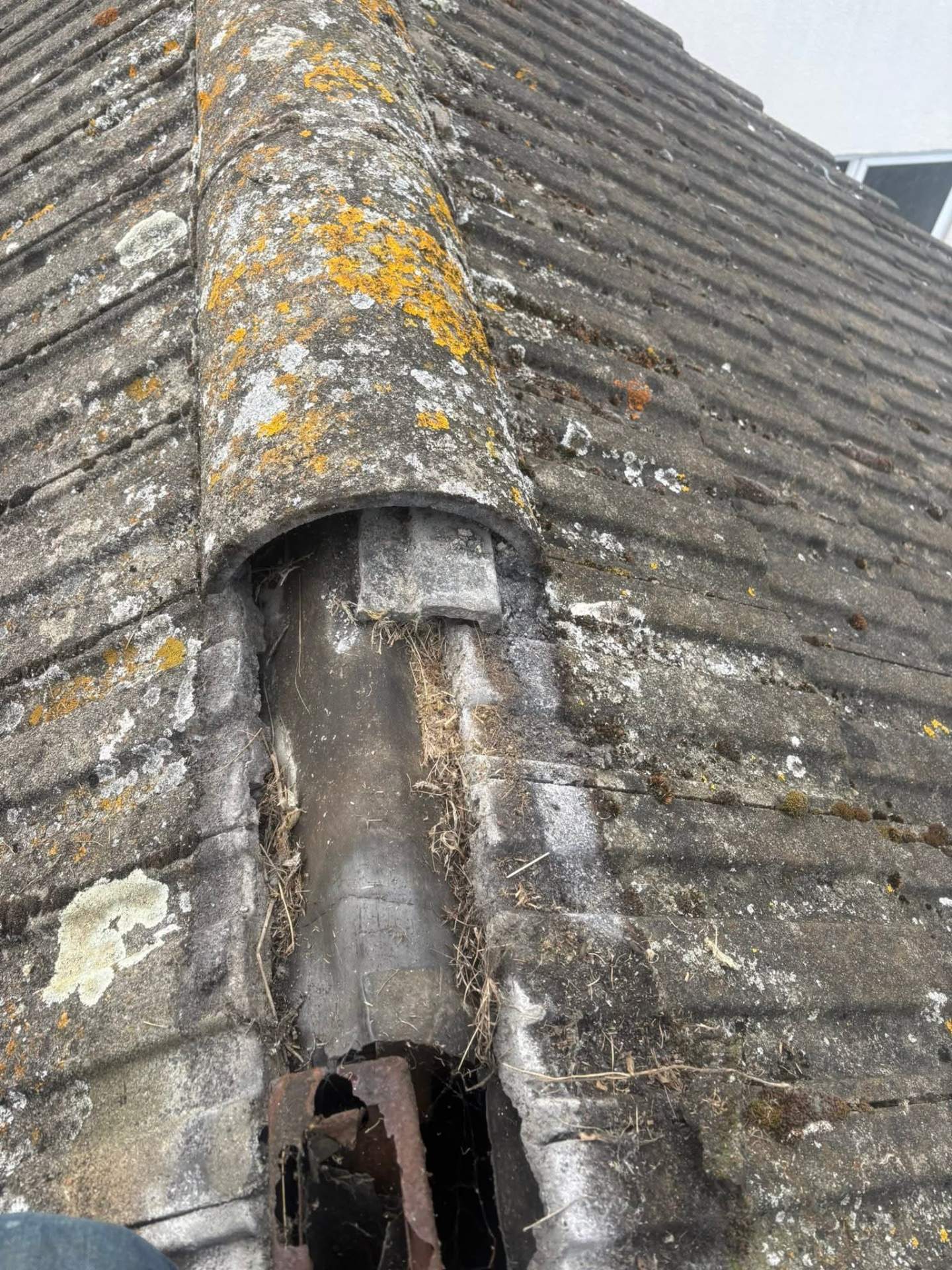 Roof ridge tile lifted with failed mortar and nesting debris underneath