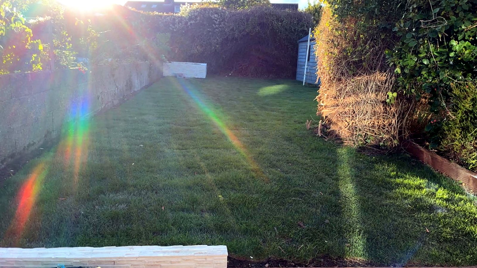 Same back garden cut back to a long, striped lawn in evening sun