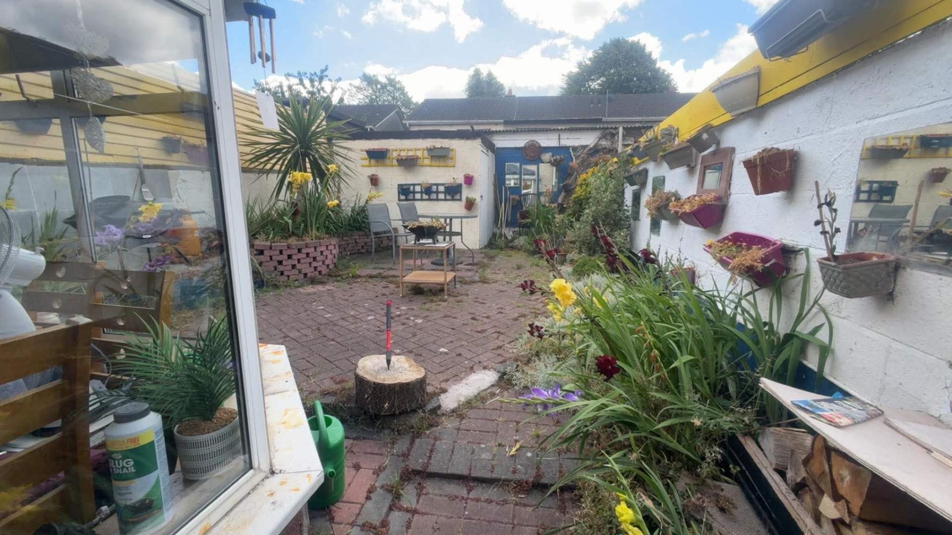Brick courtyard patio with overgrown beds, weeds through the paving and a tree stump